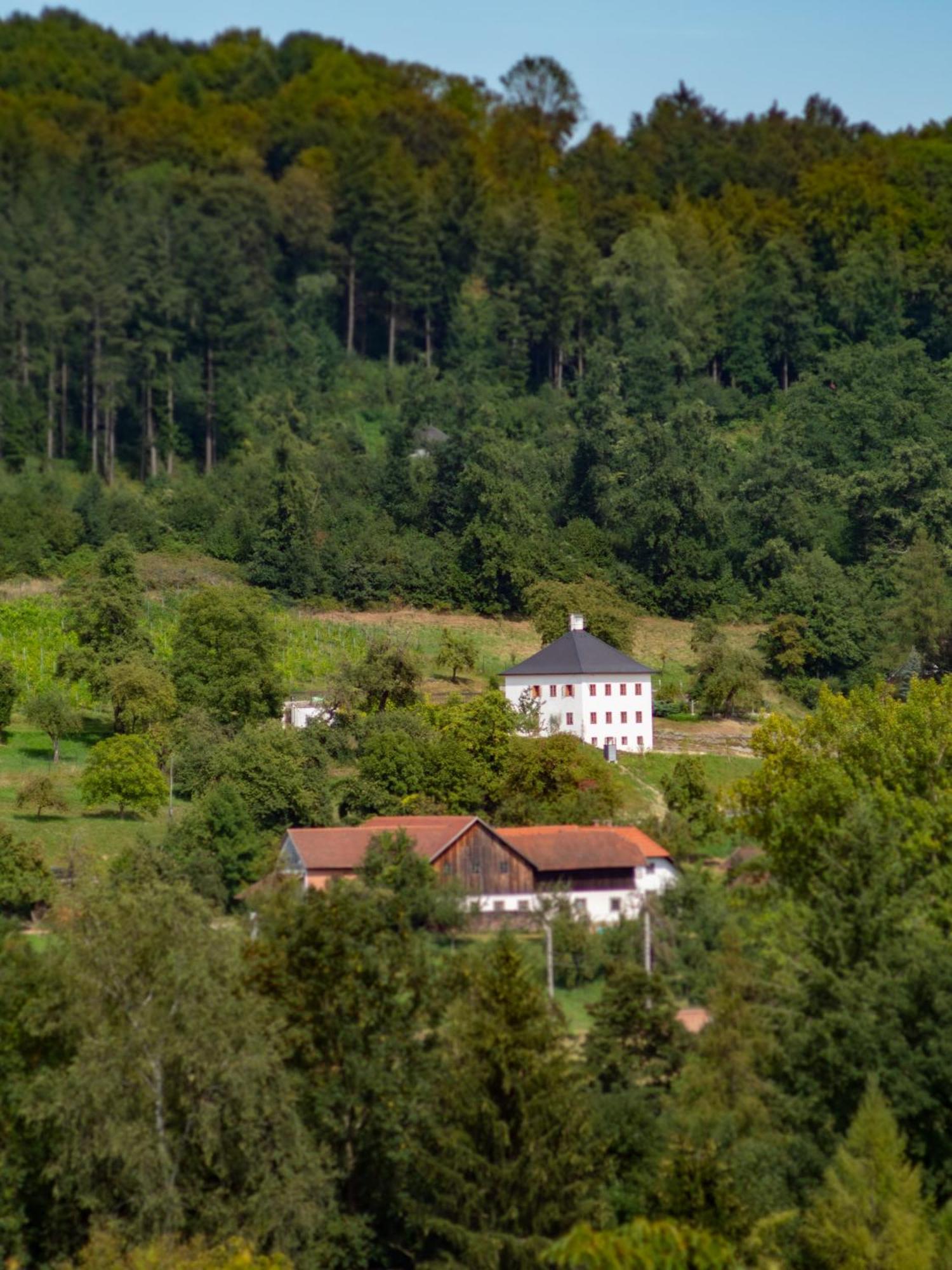 Trattnachtaler Weinhaus Prázdninový dům